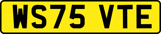 WS75VTE