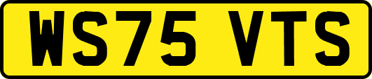 WS75VTS