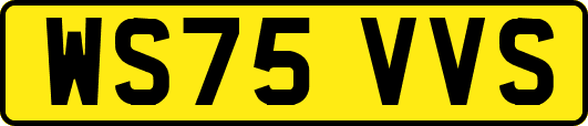 WS75VVS