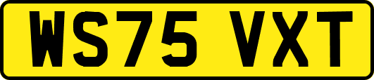 WS75VXT