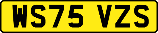 WS75VZS