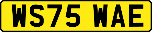WS75WAE
