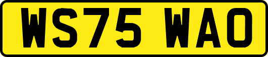 WS75WAO