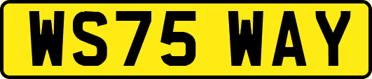 WS75WAY