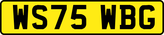 WS75WBG