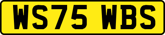 WS75WBS