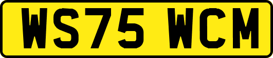 WS75WCM