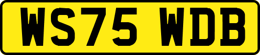 WS75WDB