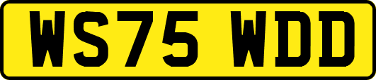 WS75WDD
