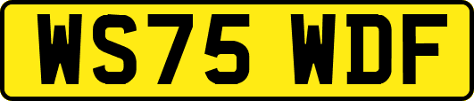 WS75WDF