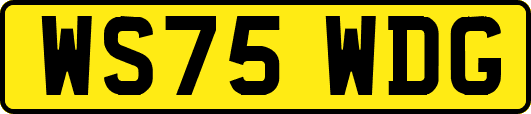 WS75WDG