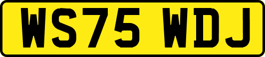 WS75WDJ