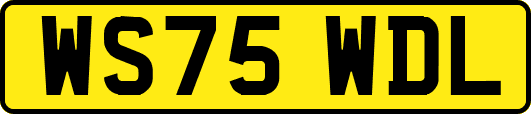 WS75WDL