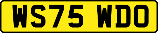 WS75WDO