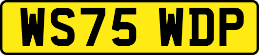 WS75WDP