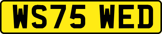 WS75WED