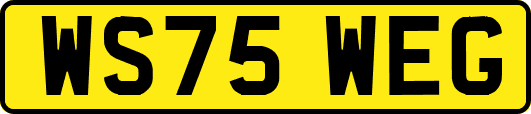 WS75WEG