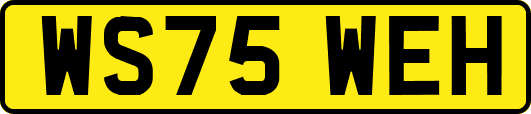WS75WEH