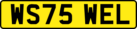 WS75WEL