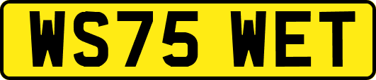 WS75WET