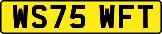 WS75WFT