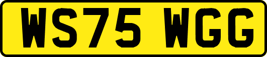 WS75WGG