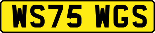 WS75WGS
