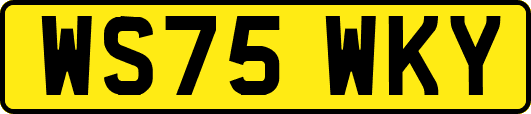 WS75WKY