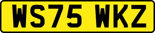 WS75WKZ