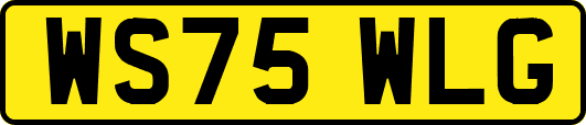 WS75WLG