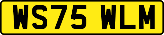 WS75WLM