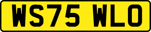 WS75WLO