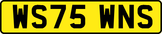 WS75WNS