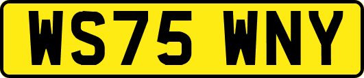 WS75WNY