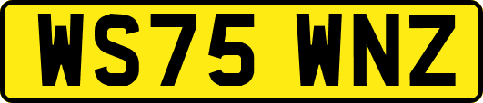 WS75WNZ