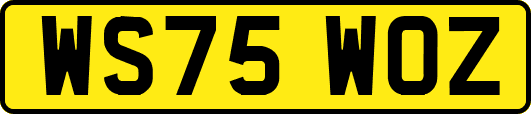 WS75WOZ