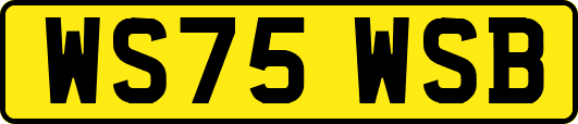 WS75WSB