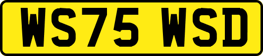 WS75WSD