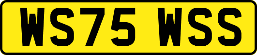 WS75WSS