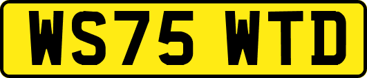 WS75WTD