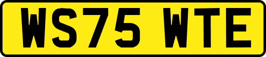 WS75WTE
