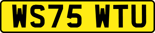 WS75WTU