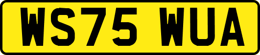 WS75WUA