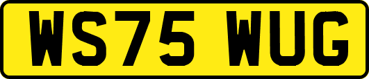 WS75WUG