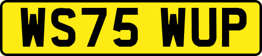 WS75WUP