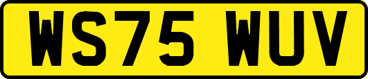WS75WUV
