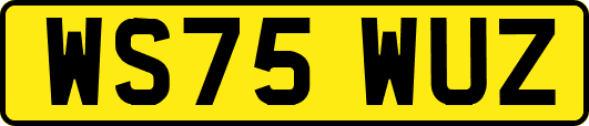 WS75WUZ