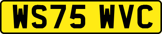 WS75WVC