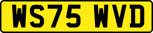 WS75WVD
