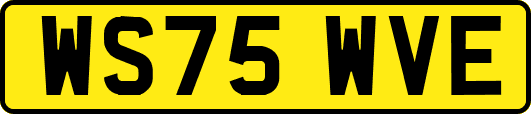 WS75WVE
